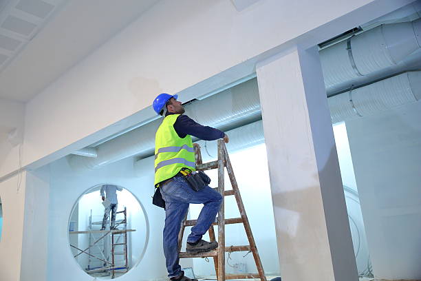 Best Water-Damaged Drywall Repair  in Oran, MO